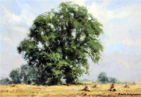 § David Shepherd (1931-) Oak trees in a cornfield, 6.5 x 9.5in.